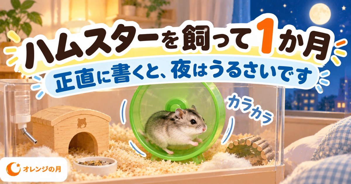 ハムスターを飼って1か月 正直に書くと、夜はうるさいです