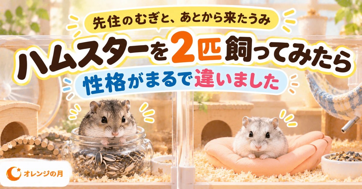 ハムスターを2匹飼ってみたら 性格がまるで違いました