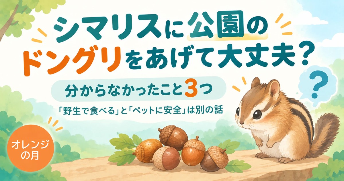 シマリスに公園のドングリをあげて大丈夫？ 分からなかったこと3つ