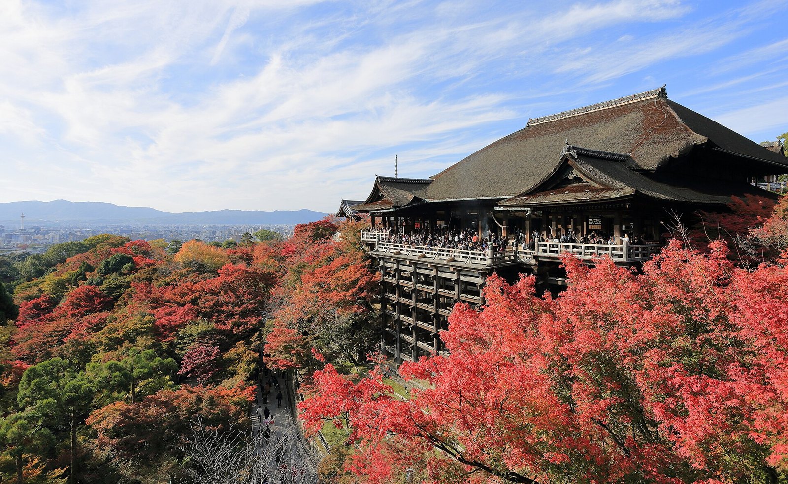 清水寺の本堂（清水の舞台）と紅葉