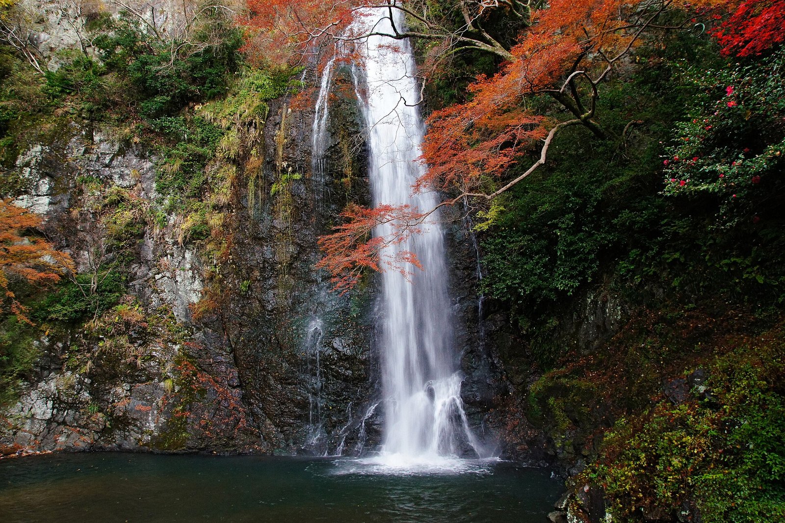箕面大滝。紅葉の岩肌を流れ落ちる滝