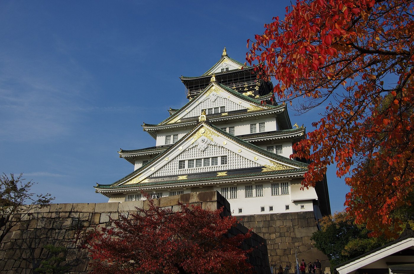 秋の大阪城。紅葉のもみじ越しに見える天守閣