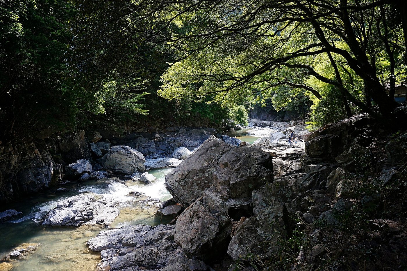 摂津峡の渓流。岩の間を流れる川と緑の木々