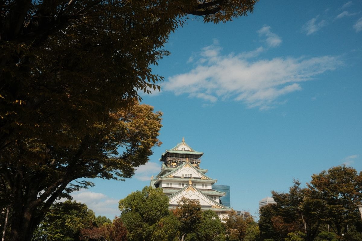 公園の木々のむこうに見える、青空と大阪城天守閣のイメージ写真